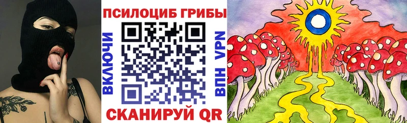 Купить закладки  Брянск  Псилоцибиновые грибы GOLDEN TEACHER 